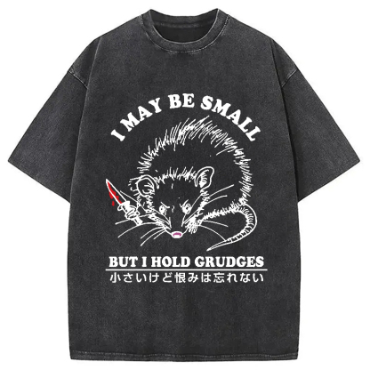 Tokyo-Assassin Mouse Holds A Grudge Funny Washed T-Shirt-Tokyo-Assassin