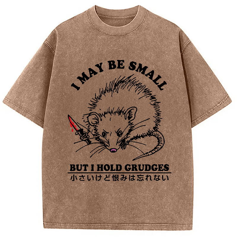 Tokyo-Assassin Mouse Holds A Grudge Funny Washed T-Shirt-Tokyo-Assassin