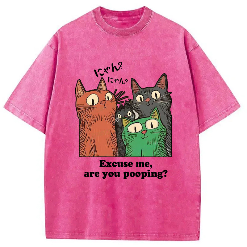 Tokyo-Assassin Cats Watching Poop Washed T-Shirt-Tokyo-Assassin