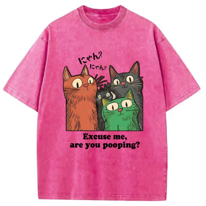 Tokyo-Assassin Cats Watching Poop Washed T-Shirt-Tokyo-Assassin