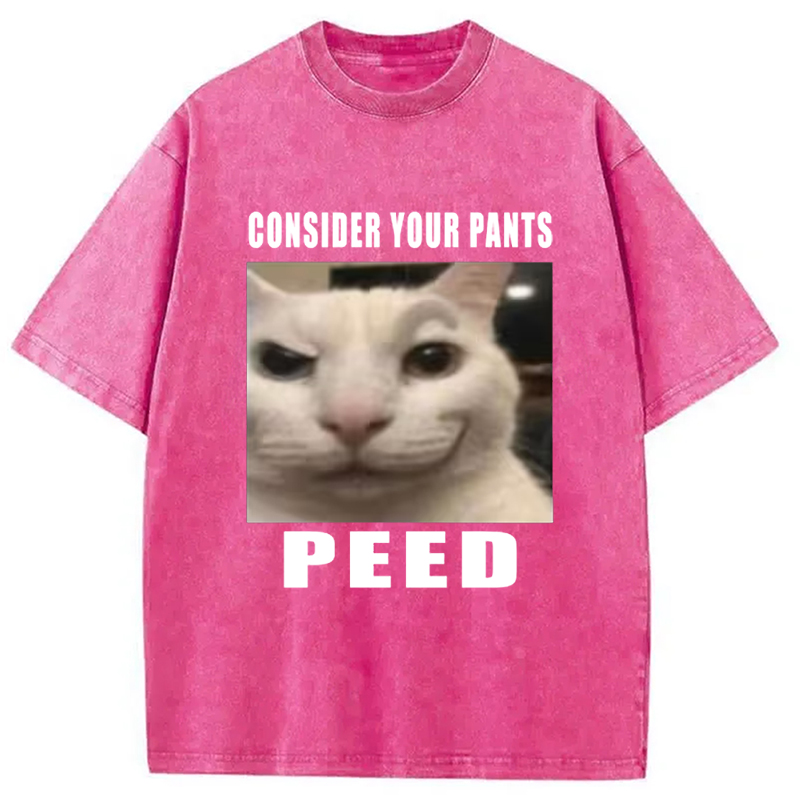 Tokyo-Assassin Consider Your Pants Peed Meme Washed T-Shirt-Tokyo-Assassin