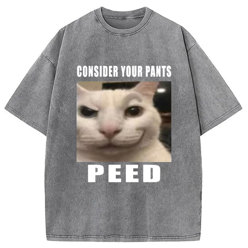 Tokyo-Assassin Consider Your Pants Peed Meme Washed T-Shirt-Tokyo-Assassin