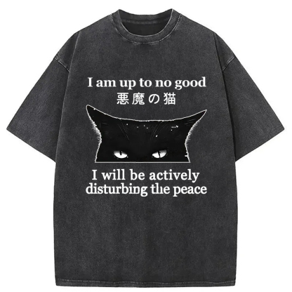 Tokyo-Assassin Cat Disturbing The Peace Washed T-Shirt-Tokyo-Assassin