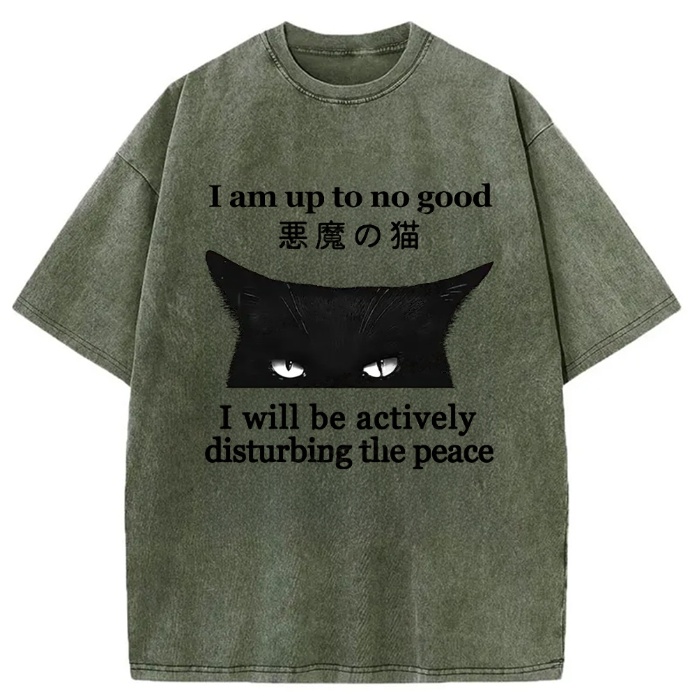 Tokyo-Assassin Cat Disturbing The Peace Washed T-Shirt-Tokyo-Assassin