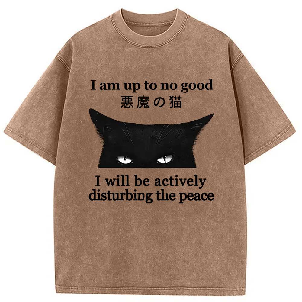 Tokyo-Assassin Cat Disturbing The Peace Washed T-Shirt-Tokyo-Assassin