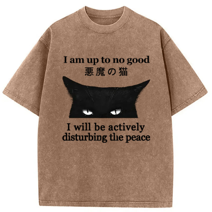 Tokyo-Assassin Cat Disturbing The Peace Washed T-Shirt-Tokyo-Assassin