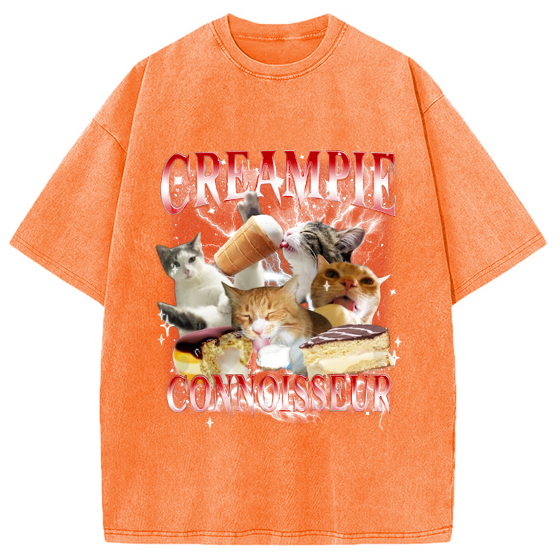 Tokyo-Assassin Funny Creampie Connoisseur Meme Washed T-Shirt-Tokyo-Assassin