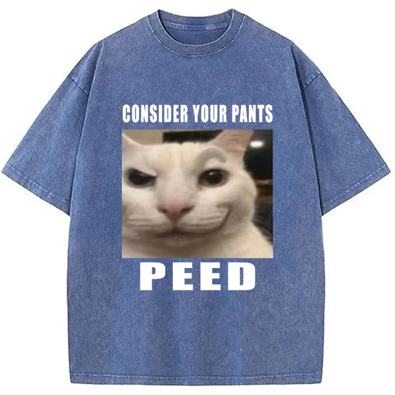 Tokyo-Assassin Consider Your Pants Peed Meme Washed T-Shirt-Tokyo-Assassin