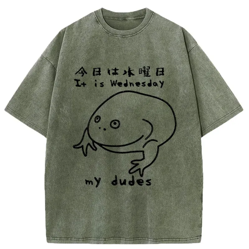 Tokyo-Assassin Today Is Wednesday Washed T-Shirt-Tokyo-Assassin