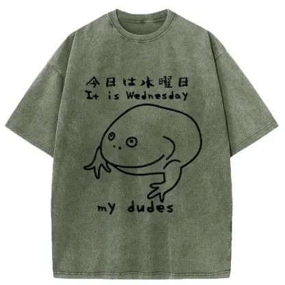 Tokyo-Assassin Today Is Wednesday Washed T-Shirt-Tokyo-Assassin