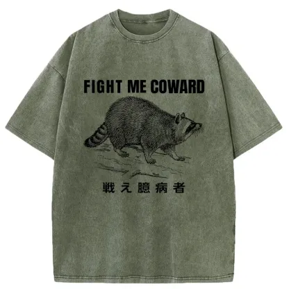 Tokyo-Assassin Fight Raccoon Japanese Washed T-Shirt-Tokyo-Assassin