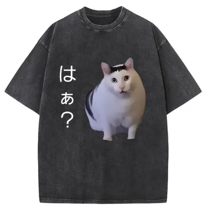 Tokyo-Assassin Suspicious Funny Cat Washed T-Shirt-Tokyo-Assassin