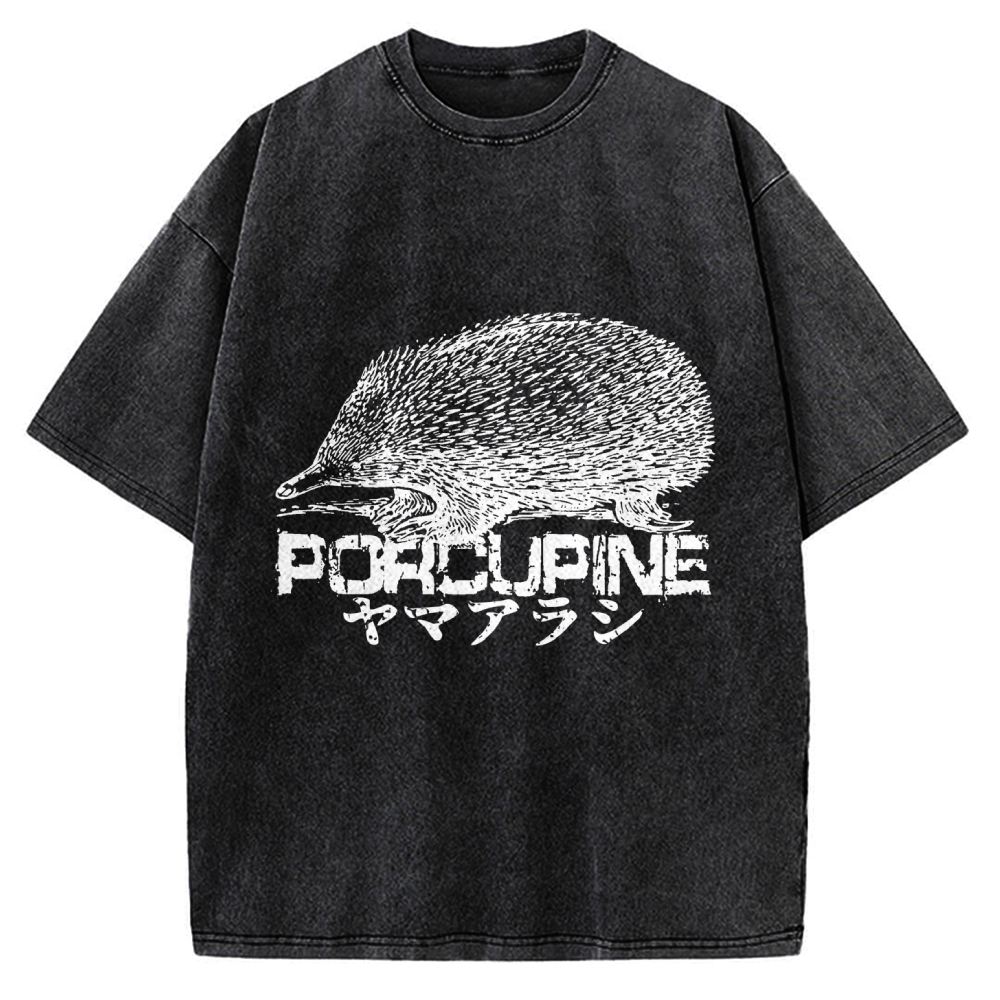 Porcupine Funny Animal Painting Vintage Washed T-shirt