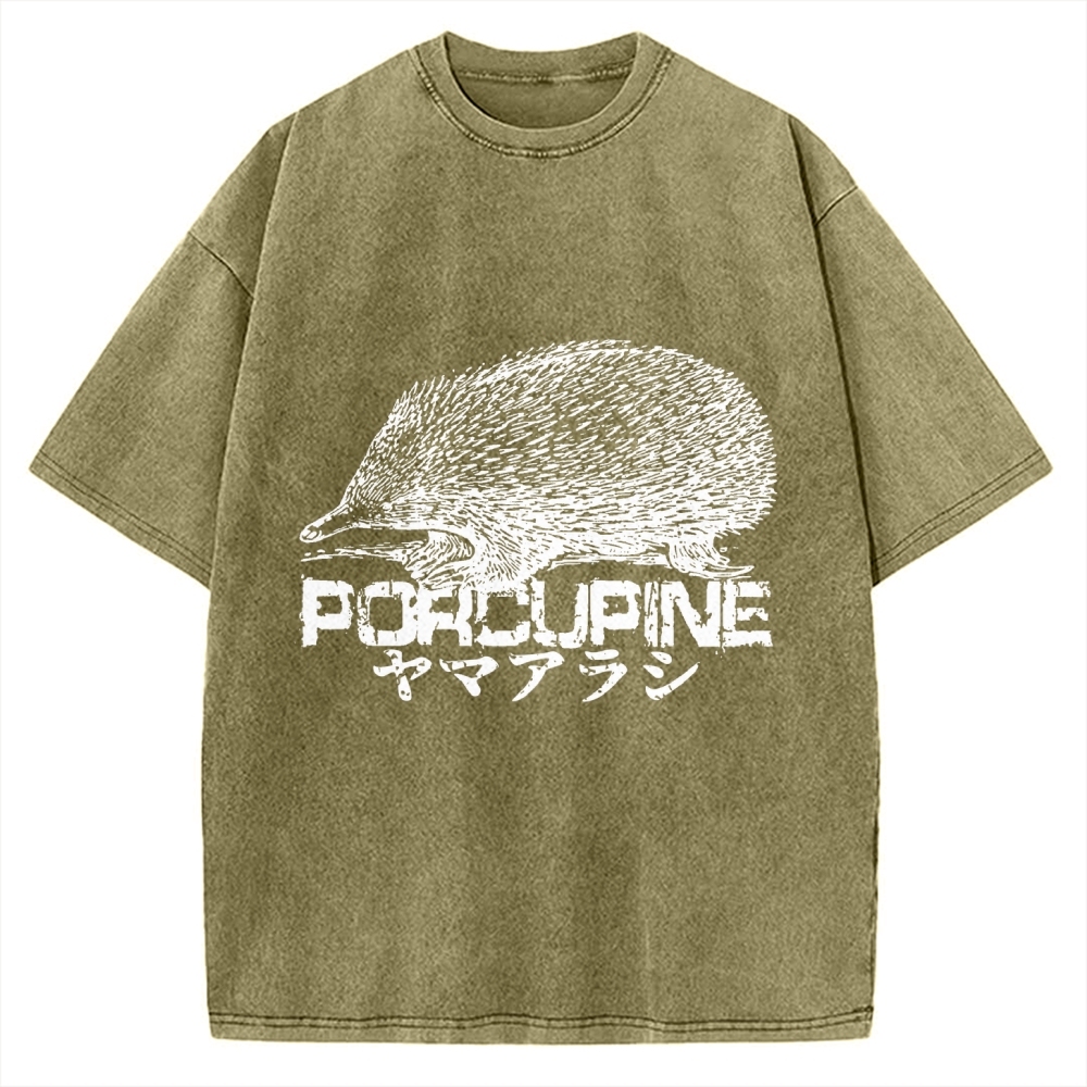 Porcupine Funny Animal Painting Vintage Washed T-shirt
