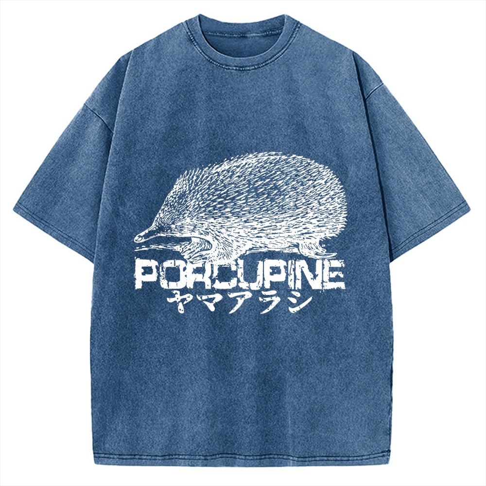 Porcupine Funny Animal Painting Vintage Washed T-shirt