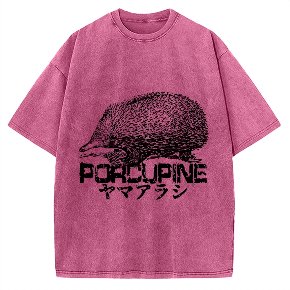 Porcupine Funny Animal Painting Vintage Washed T-shirt