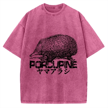 Porcupine Funny Animal Painting Vintage Washed T-shirt