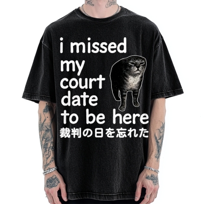 Funny Forgetful Cat Vintage Washed T-shirt