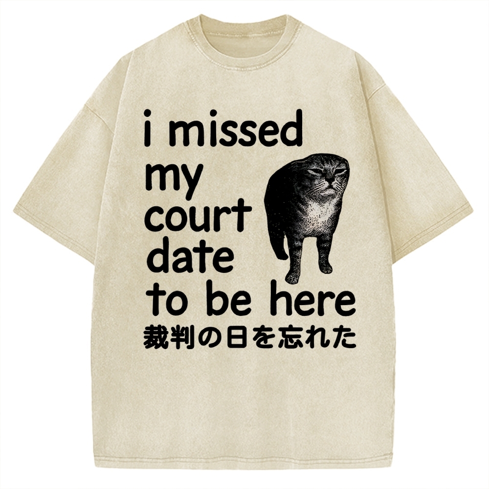 Funny Forgetful Cat Vintage Washed T-shirt