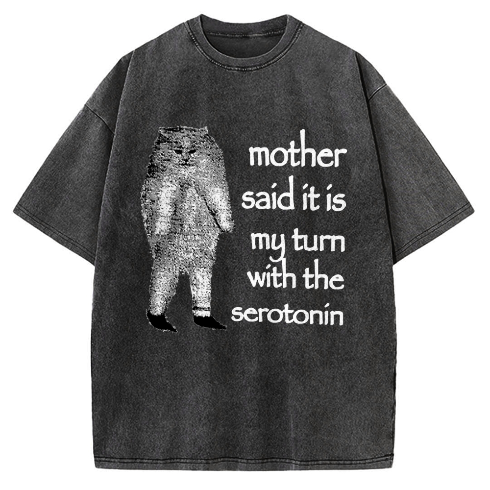 Cat Lacking Serotonin Vintage Washed T-shirt