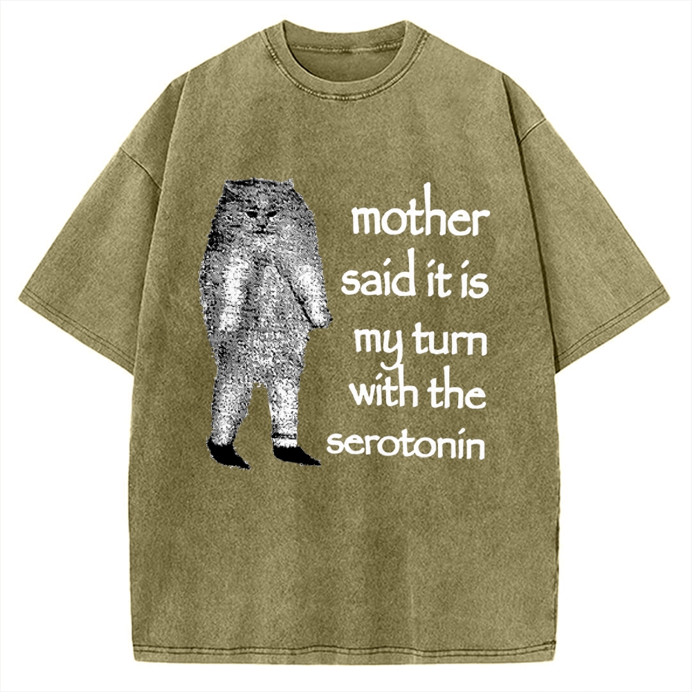 Cat Lacking Serotonin Vintage Washed T-shirt