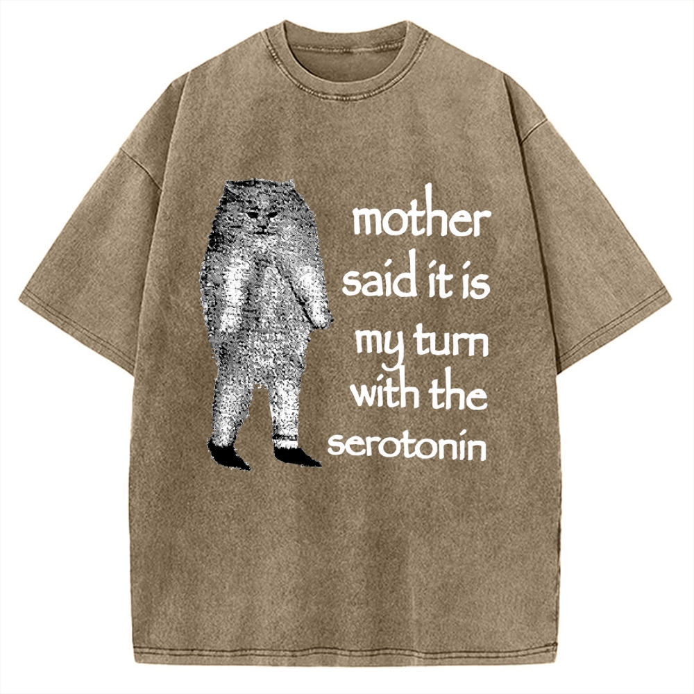 Cat Lacking Serotonin Vintage Washed T-shirt