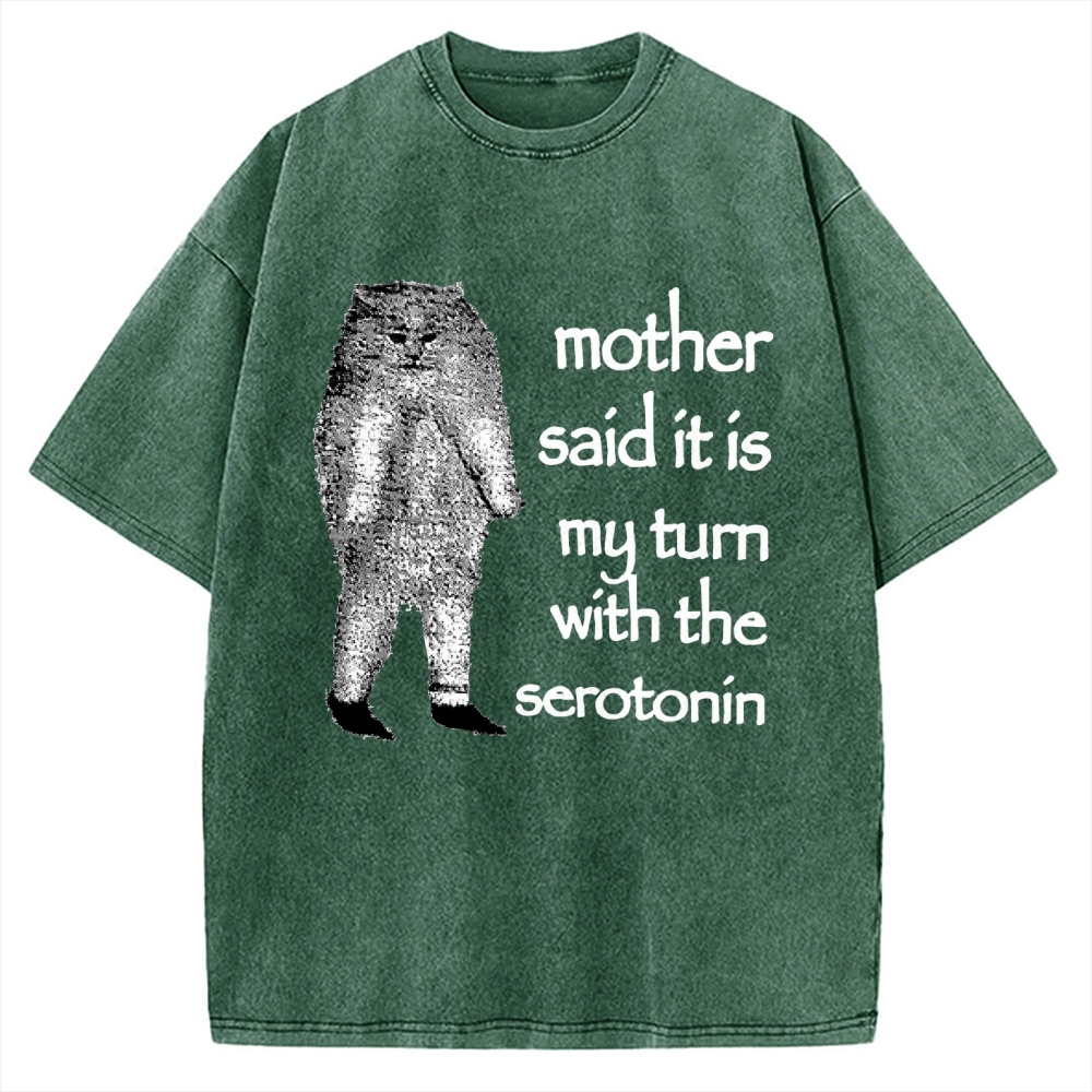 Cat Lacking Serotonin Vintage Washed T-shirt