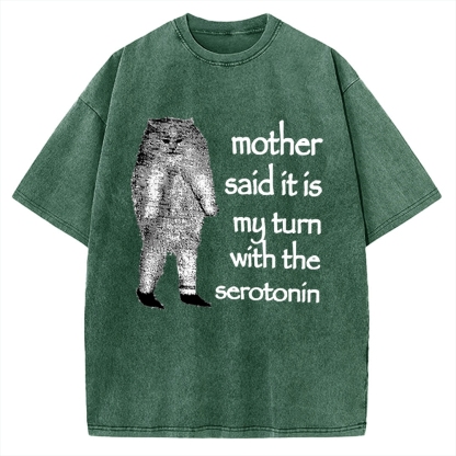 Cat Lacking Serotonin Vintage Washed T-shirt