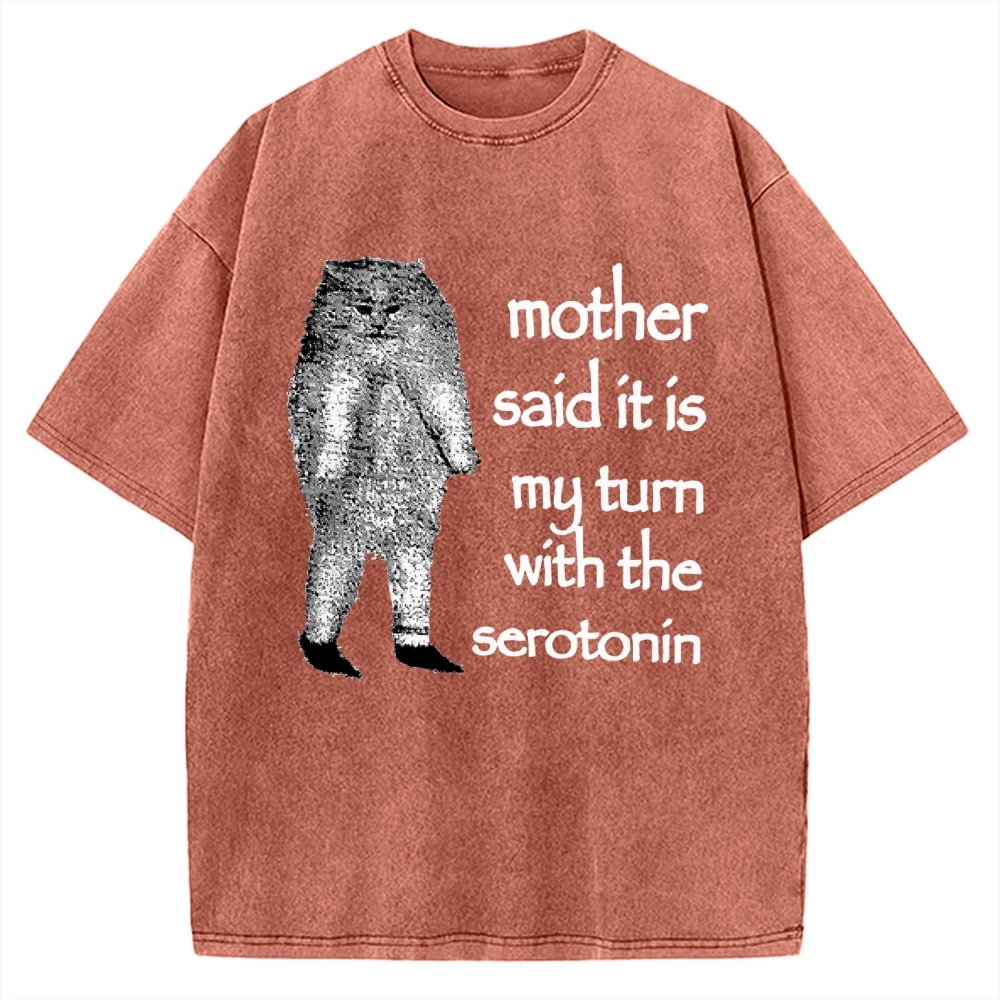Cat Lacking Serotonin Vintage Washed T-shirt