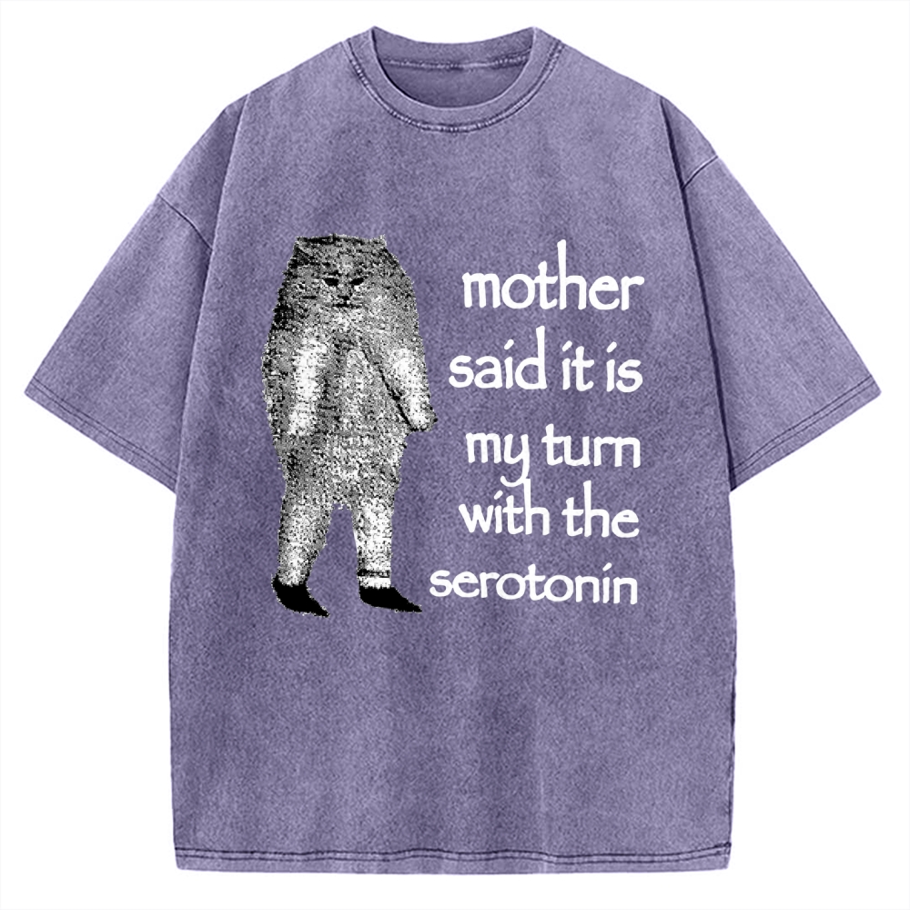 Cat Lacking Serotonin Vintage Washed T-shirt