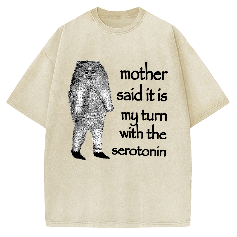 Cat Lacking Serotonin Vintage Washed T-shirt