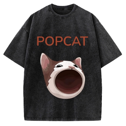 Pop Cat Funny Meme Vintage Washed T-shirt