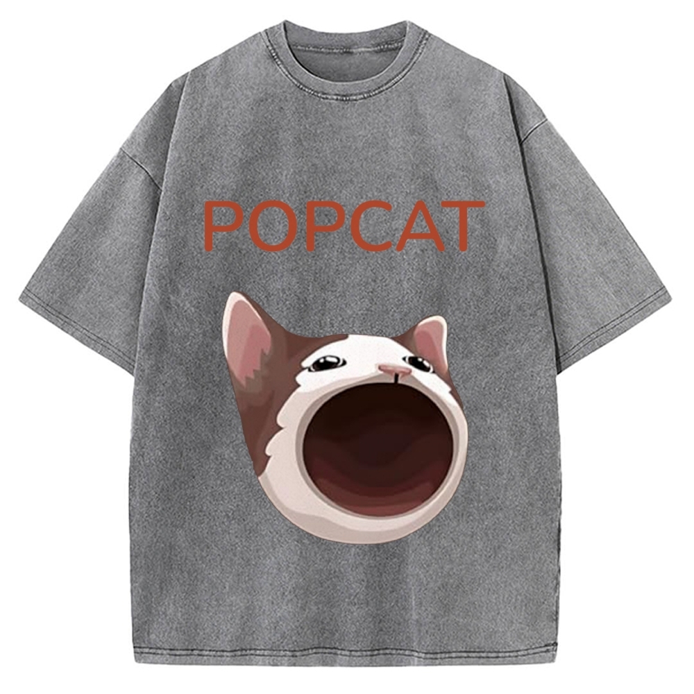 Pop Cat Funny Meme Vintage Washed T-shirt