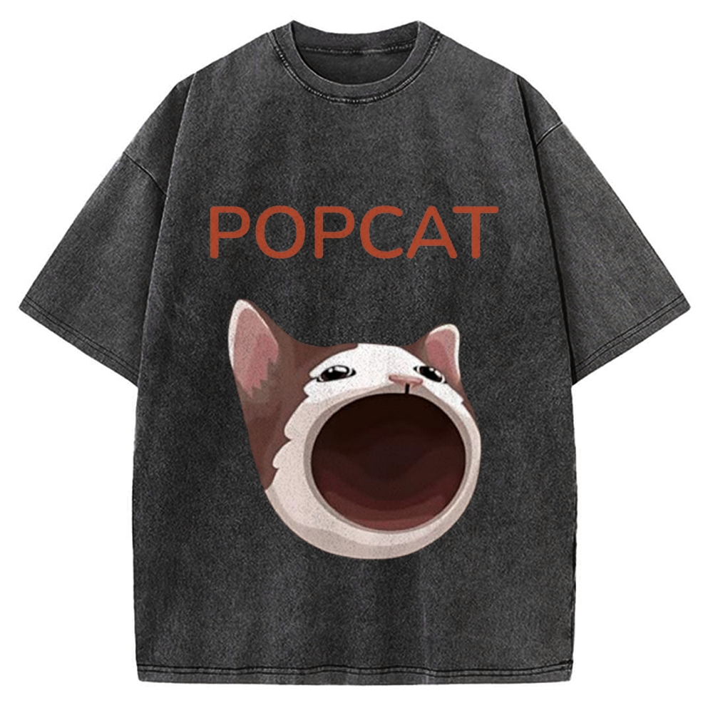 Pop Cat Funny Meme Vintage Washed T-shirt