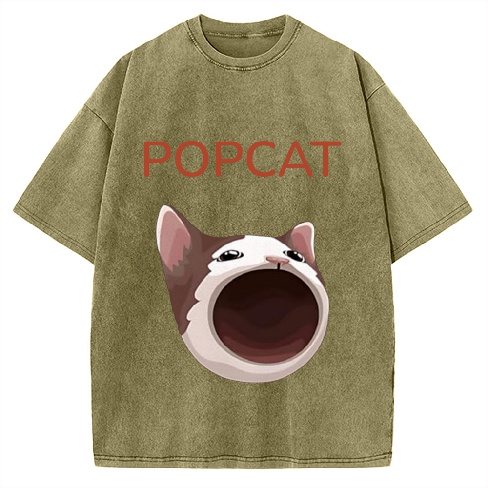 Pop Cat Funny Meme Vintage Washed T-shirt