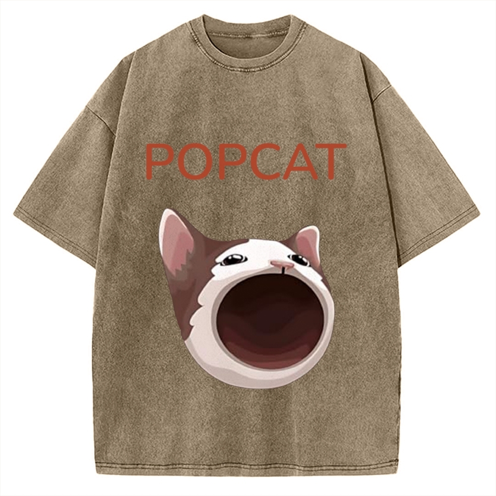 Pop Cat Funny Meme Vintage Washed T-shirt