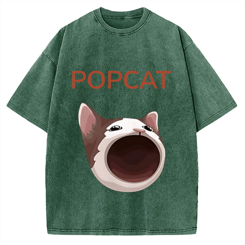 Pop Cat Funny Meme Vintage Washed T-shirt