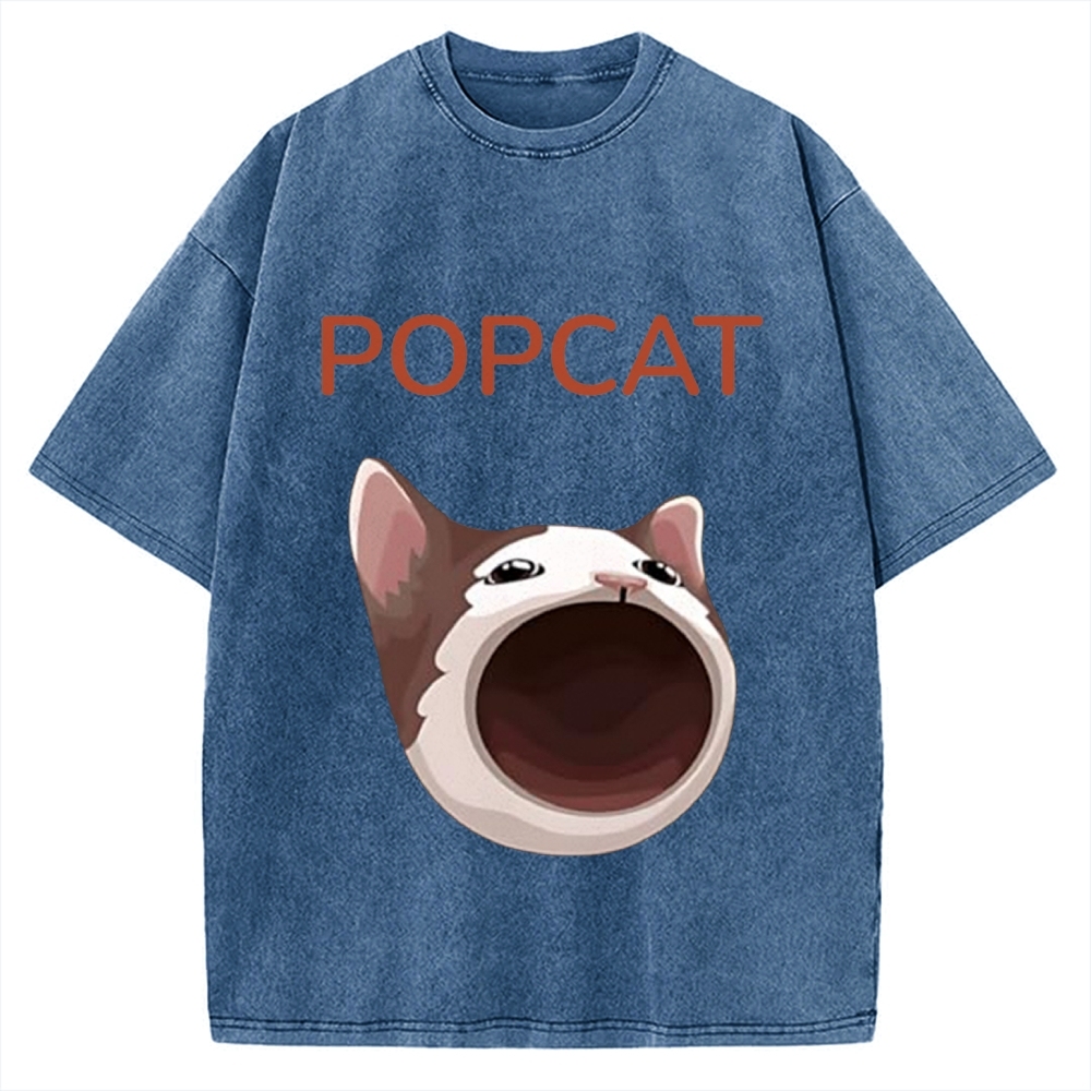 Pop Cat Funny Meme Vintage Washed T-shirt