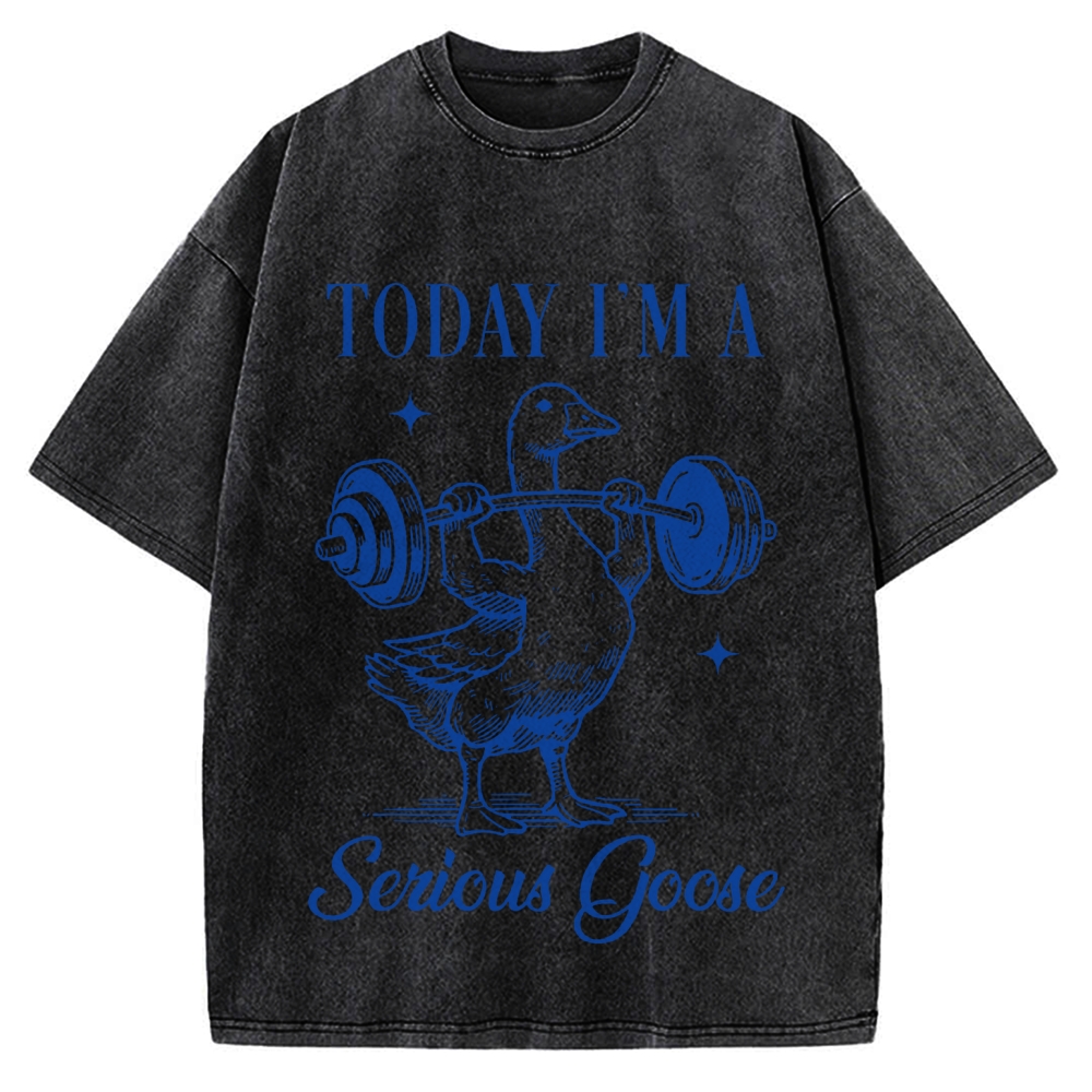 Today I'm A Serious Goose Vintage Washed T-shirt