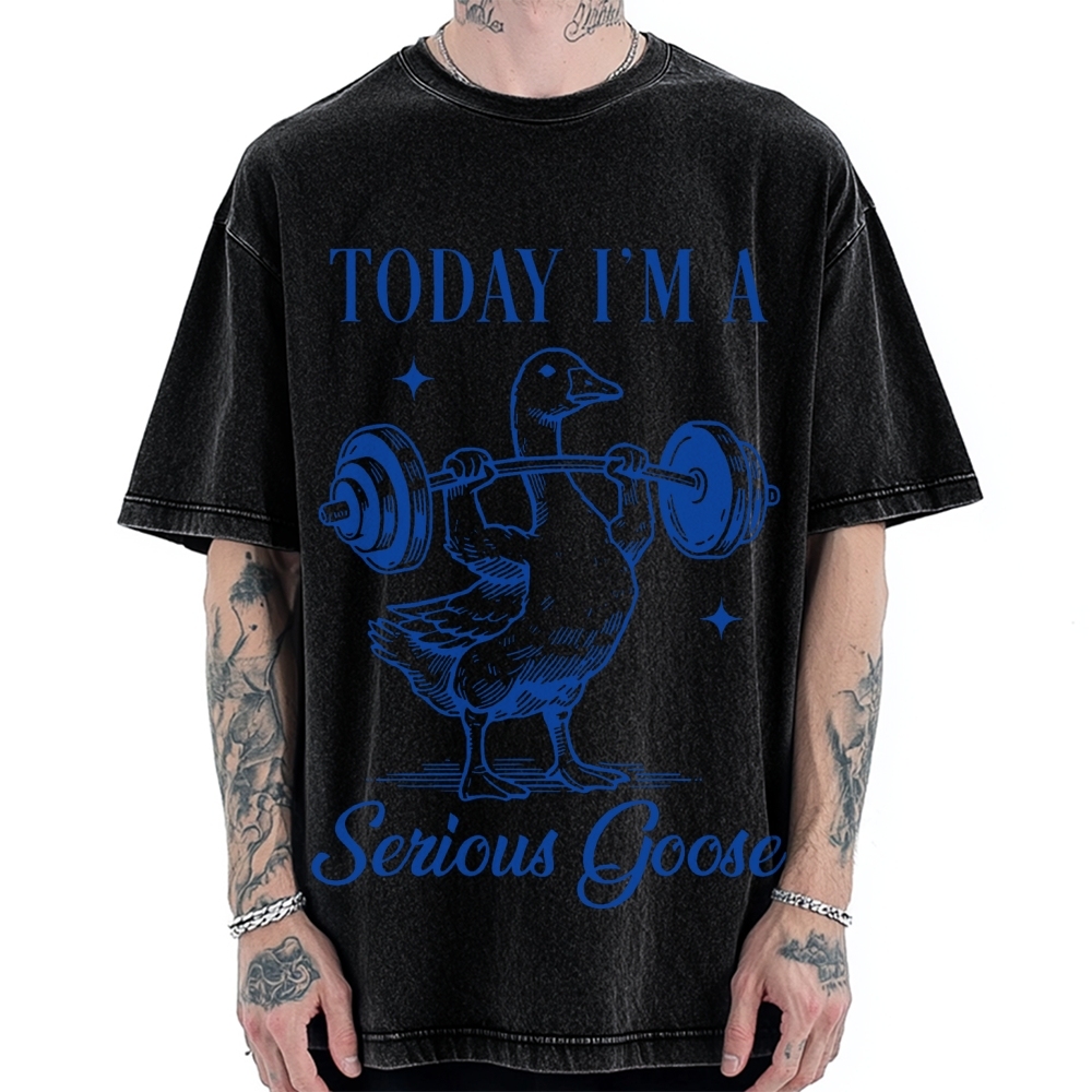 Today I'm A Serious Goose Vintage Washed T-shirt