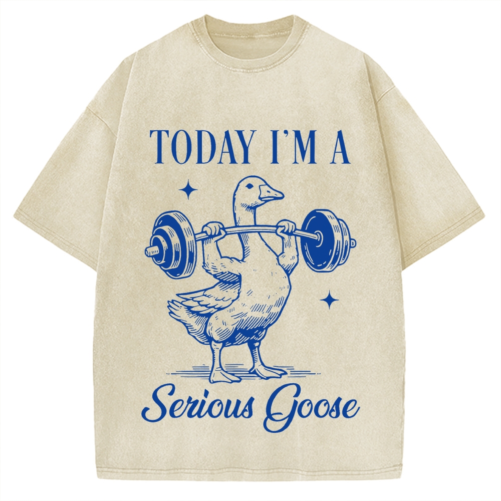 Today I'm A Serious Goose Vintage Washed T-shirt