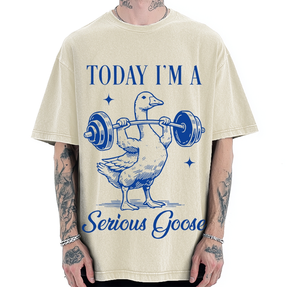 Today I'm A Serious Goose Vintage Washed T-shirt