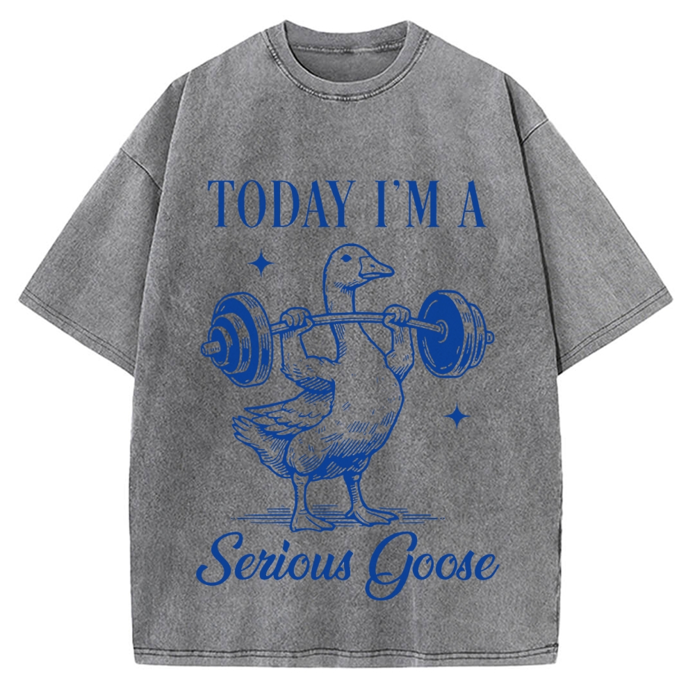 Today I'm A Serious Goose Vintage Washed T-shirt