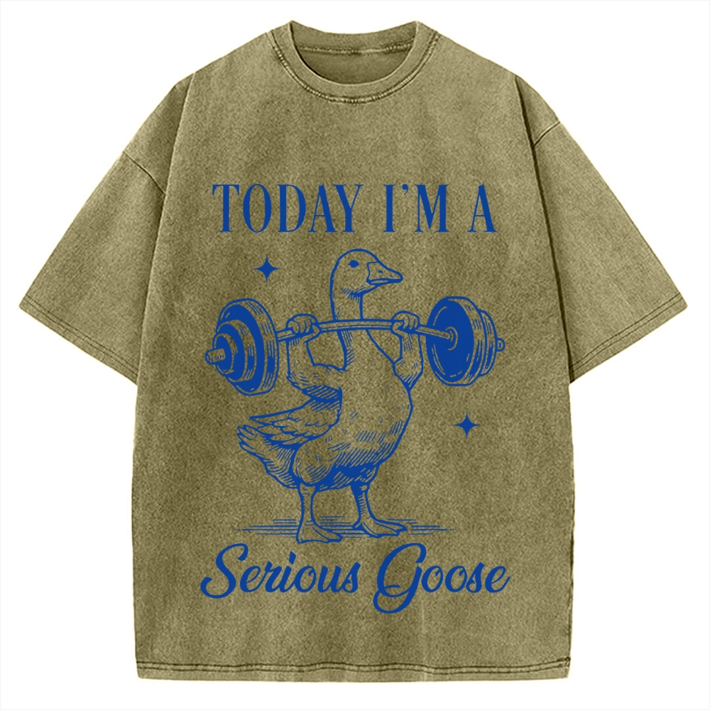 Today I'm A Serious Goose Vintage Washed T-shirt