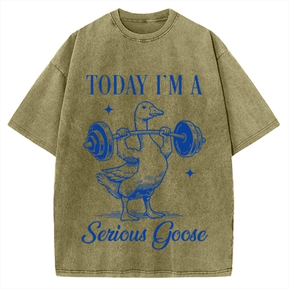 Today I'm A Serious Goose Vintage Washed T-shirt