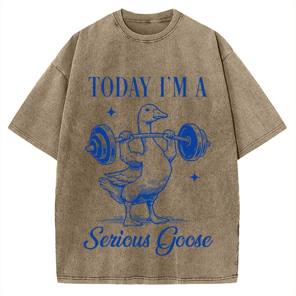 Today I'm A Serious Goose Vintage Washed T-shirt