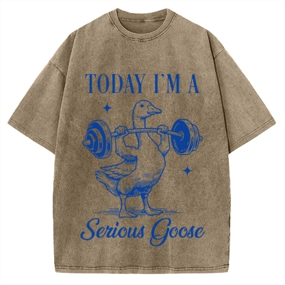 Today I'm A Serious Goose Vintage Washed T-shirt