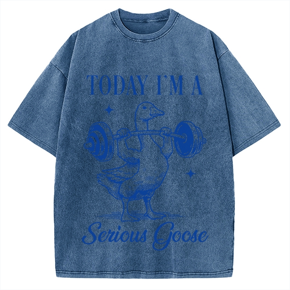 Today I'm A Serious Goose Vintage Washed T-shirt