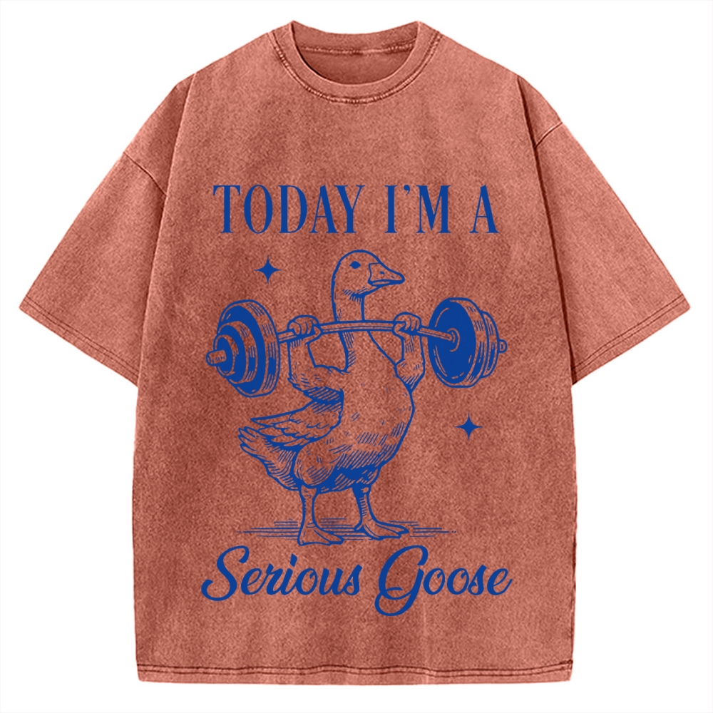 Today I'm A Serious Goose Vintage Washed T-shirt