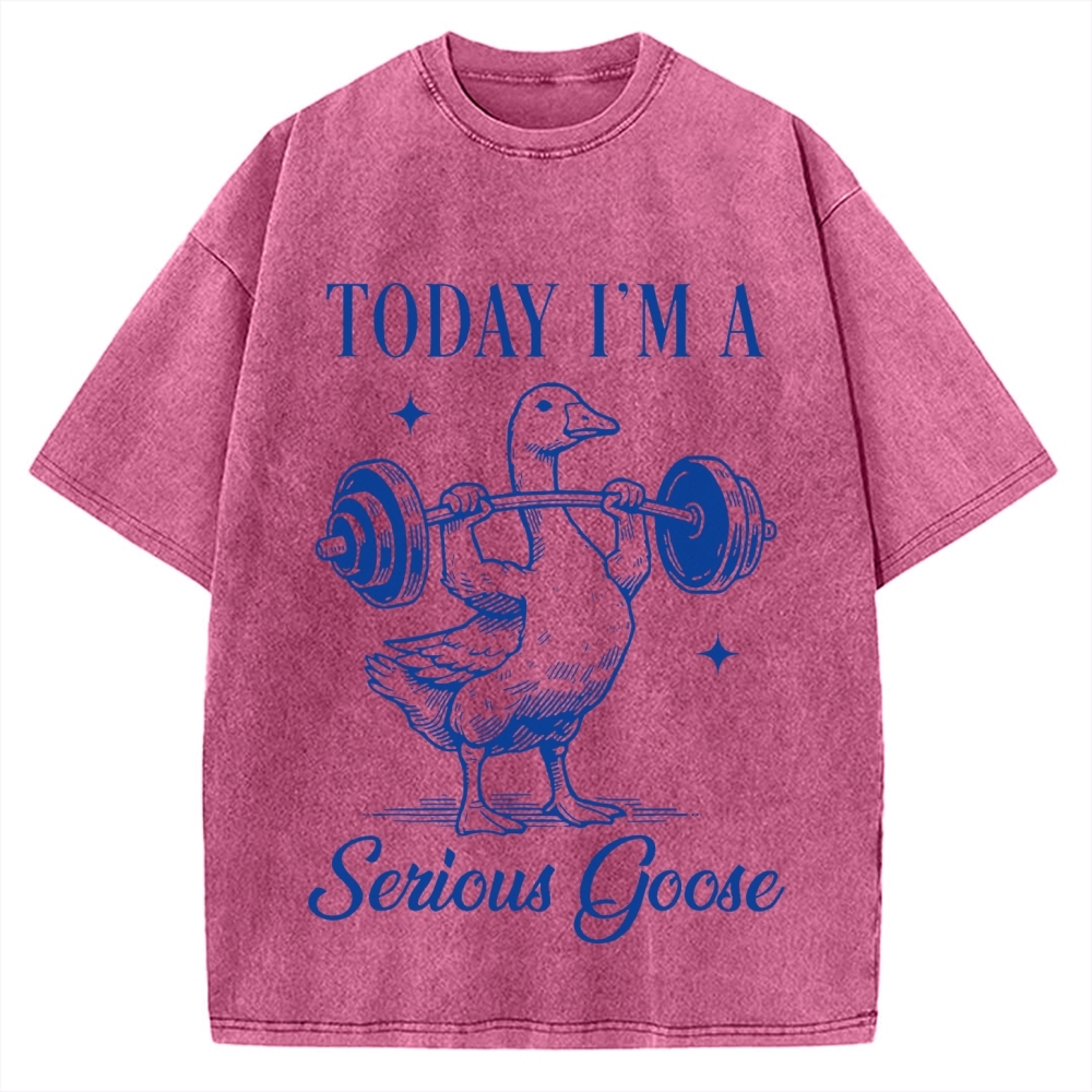Today I'm A Serious Goose Vintage Washed T-shirt